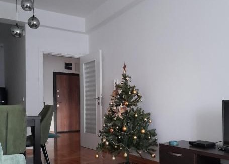 Arandelovac Apartment | Apartman Green wood