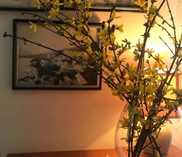Igalo Apartment | Apartman Igalo Centar
