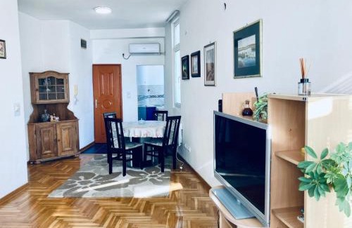 Dorcol Apartment | Apartman Igor 2
