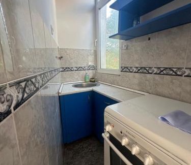 Dorcol Apartment | Apartman Igor 2