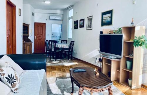 Dorcol Apartment | Apartman Igor 2