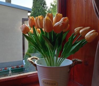 Vrdnik Apartment | Apartman IVANA