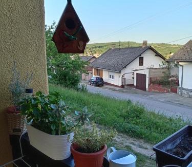Vrdnik Apartment | Apartman IVANA