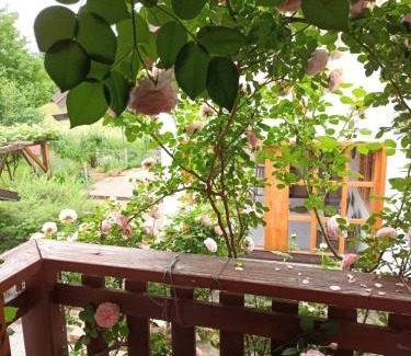 Municipality of Plaski Apartment | Apartman Latin 2