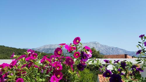 Cove Tri Zala (Zrnovo) Apartment | Apartman LUCIJA