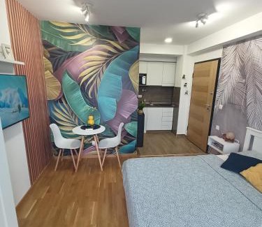 Jagodina Apartment | Apartman Luxor