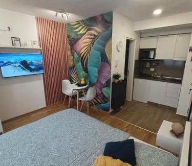 Jagodina Apartment | Apartman Luxor