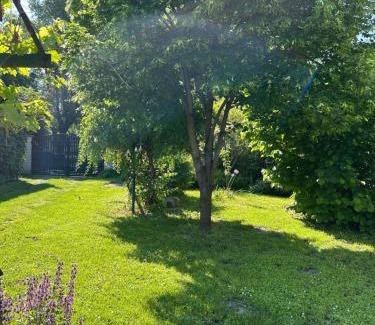 Stari Banovci Apartment | Apartman Maša