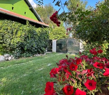 Stari Banovci Apartment | Apartman Maša