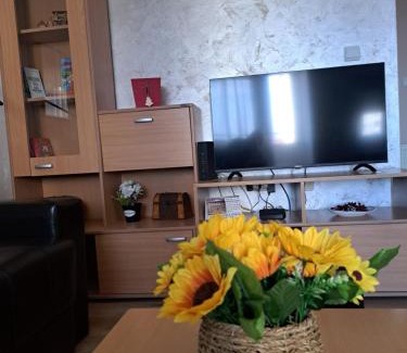 City Center Apartment | Apartman Marger
