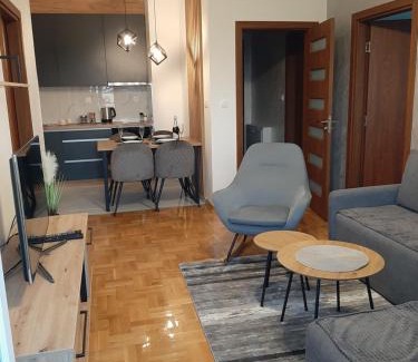 Pirot Apartment | Apartman Milic Pirot-Zapadni Kej 10