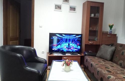 Vranje Apartment | Apartman Mladenovic Center, free parking&wifi