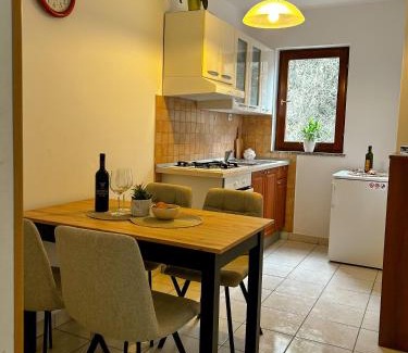 Jakisnica Apartment | apartman MLIN 4