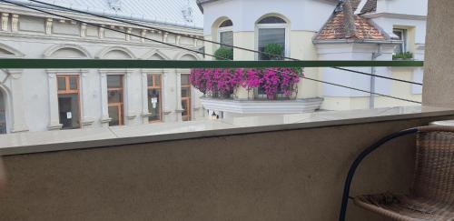 Vrsac Apartment | Apartman Natasa 1