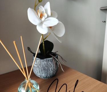 Kragujevac Apartment | Apartman Nika