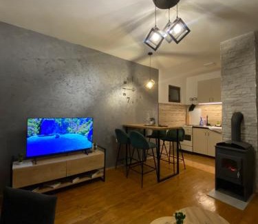 Pale Apartment | Apartman Ninkovic