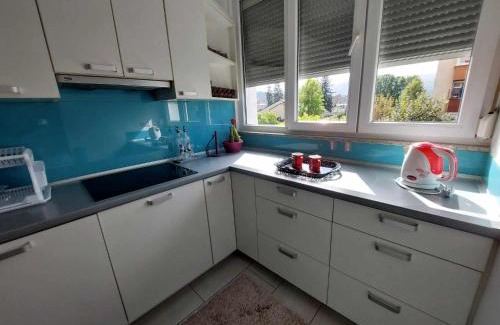 Mali Radic Apartment | Apartman OMANOVIĆ