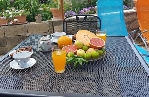 Trsteno Apartment | Apartman Paradiso