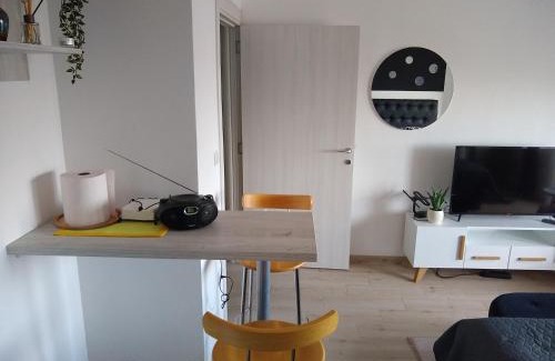 Mladenovac Apartment | Apartman Park