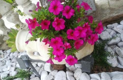 Zurkovo Apartment | Apartman Pelcic,with WiFi and free parking