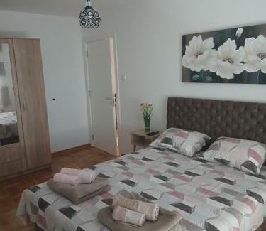 Nis Apartment | Apartman Petra