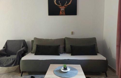 Perusic Apartment | Apartman Rita