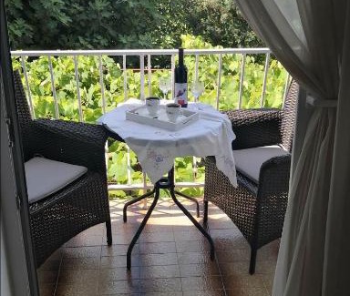 Tomicici Apartment | Apartman Samardzic