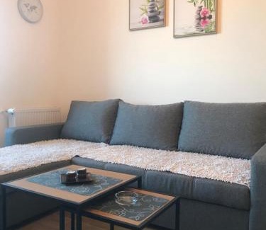 Banja Koviljaca Apartment | Apartman Sanja