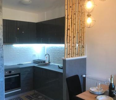 Banja Koviljaca Apartment | Apartman Sanja