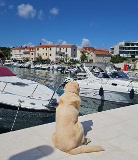 Malinska-Dubasnica Apartment | Apartman SEA VIEW