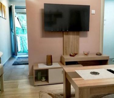 Bor Apartment | Apartman SIMONA