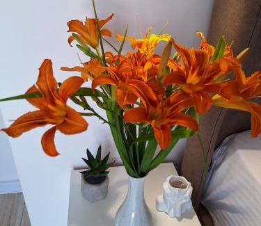 Herceg Novi Apartment | apartman stan Savina