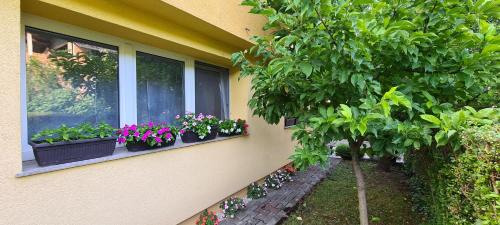 Mali Radic Apartment | Apartman Stari Grad - Ostrožac na Uni - Bihać Cazin