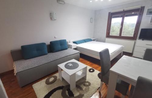 Kremna Apartment | Apartman Tarski snovi - Tara, Kaluđerske bare