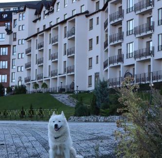 Lisina Apartment | Apartman TAUNUS