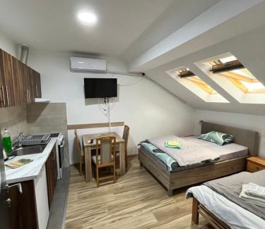 Soko Banja Apartment | Apartman Veličković Sokobanja
