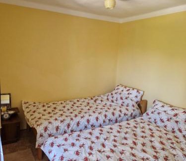 Herceg Novi Municipality Apartment | Apartman Vijalo