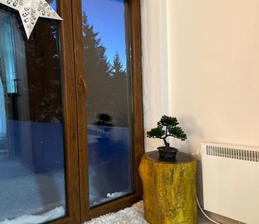 Kopaonik Apartment | Apartman Vučko