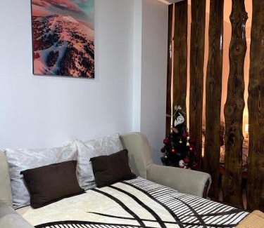 Kopaonik Apartment | Apartman Vučko