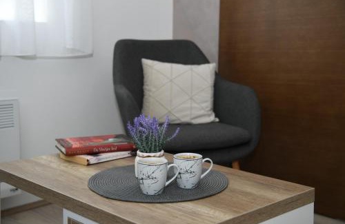 Jagodina Apartment | Apartman Zara