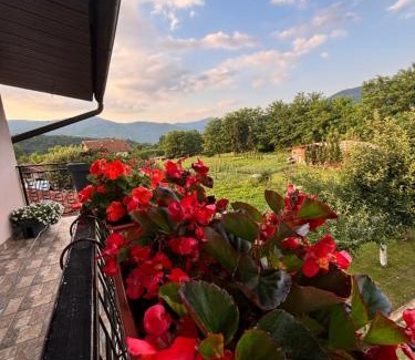 Bajina Basta Apartment | Apartman Zlatija
