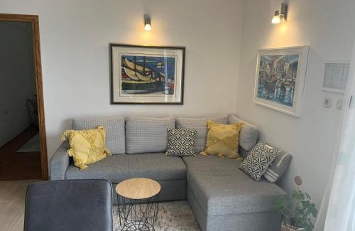 Risika Apartment | Apartmani Anica