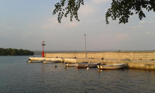 Raslina Apartment | Apartmani Ante