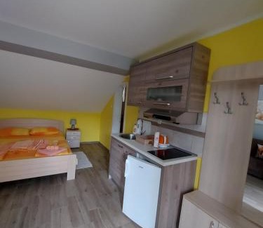 Vrdnik Apartment | Apartmani Breza
