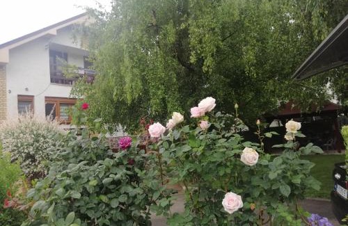 Vrdnik Apartment | Apartmani Breza
