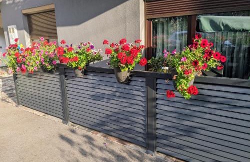Mali Radic Apartment | Apartmani Hrastik 1