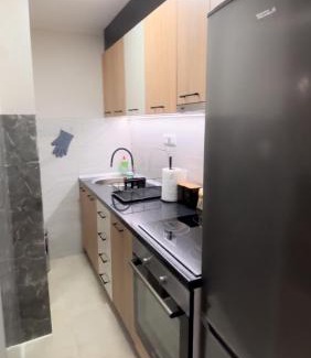 Central Serbia Apartment | Apartmani Krivokuća