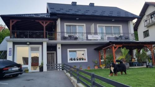 Krapinske Toplice Apartment | APARTMANI KSENIJA