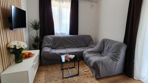 Maslenica Apartment | Apartmani Masline