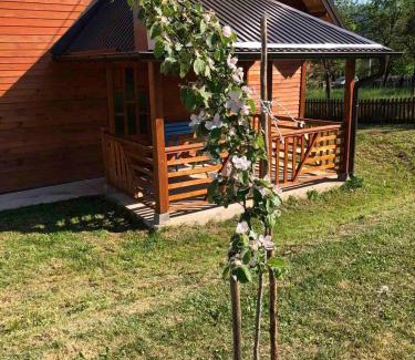 Mokra Gora Apartment | Apartmani Milekić